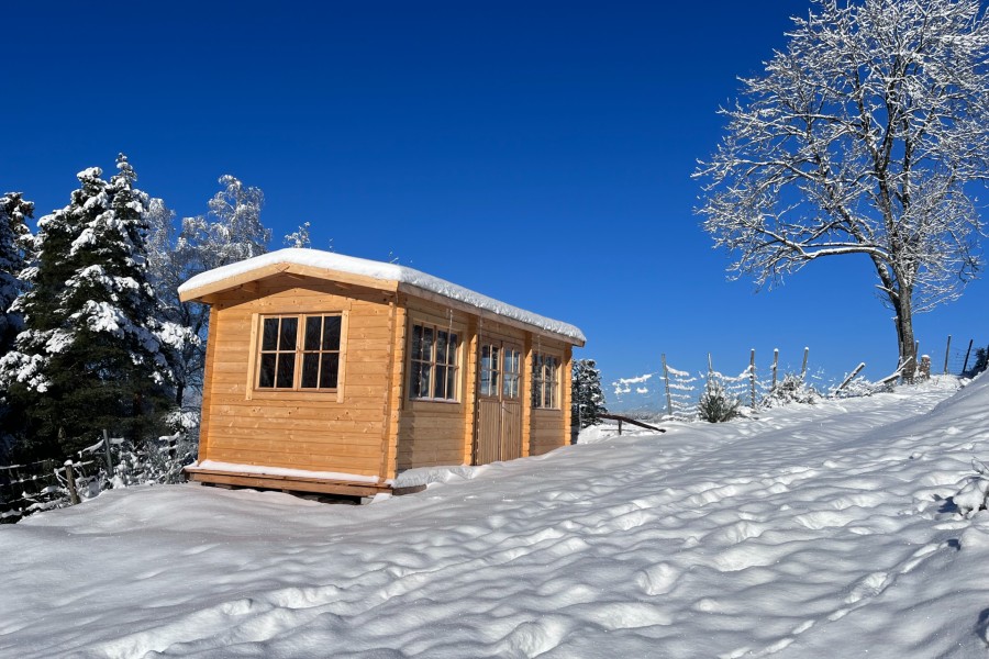 Elegir-entre-diferentes-diseños-de-casetas-de-jardín-aisladas